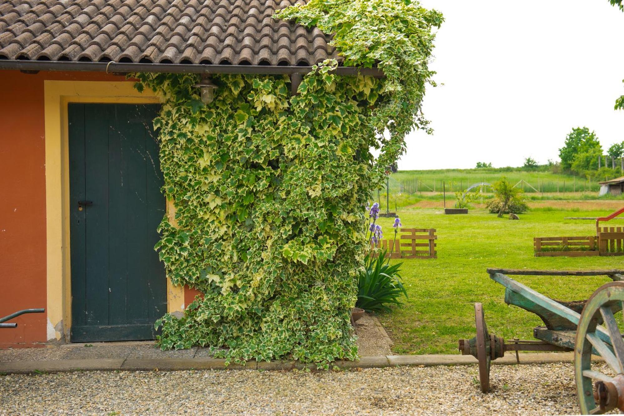 Country House Cascina Orto Pasturana Zewnętrze zdjęcie